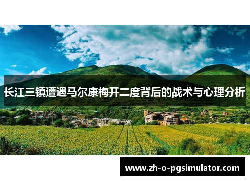 长江三镇遭遇马尔康梅开二度背后的战术与心理分析