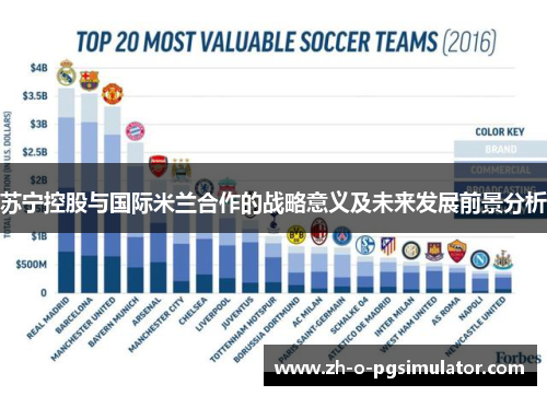 苏宁控股与国际米兰合作的战略意义及未来发展前景分析