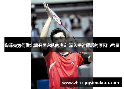 陶菲克为何做出离开国家队的决定 深入探讨背后的原因与考量