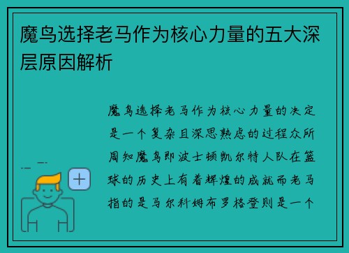 魔鸟选择老马作为核心力量的五大深层原因解析